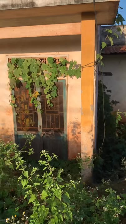 Đất cho thuê mặt bằng Quốc lộ 14, Chư Sê 1500m² - Cho thuê lâu dài!