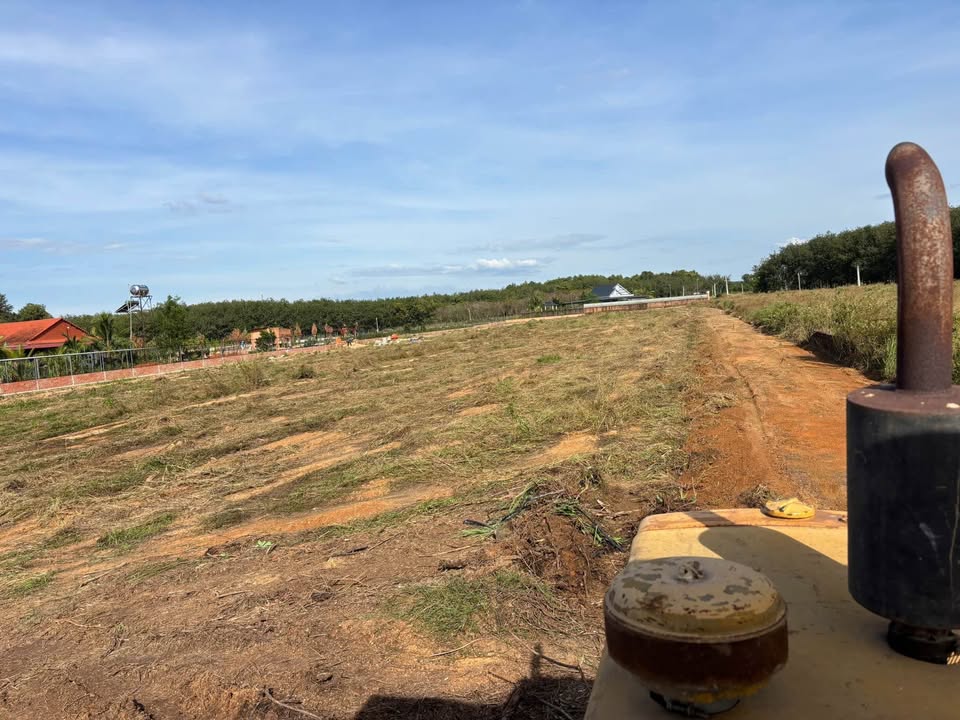 Đất SKC 1,1ha Tân Phước, Đồng Phú - Vị trí đẹp, pháp lý rõ ràng!