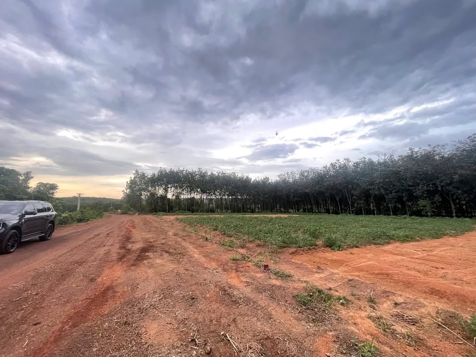 Đất Tiến Hưng Đồng Xoài 225m² chỉ 400 triệu - Cơ hội đầu tư hấp dẫn!