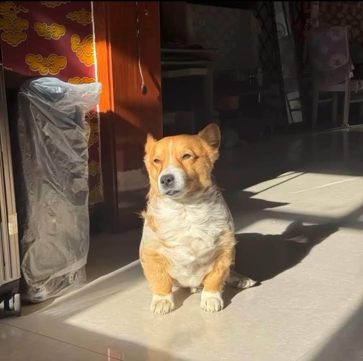 Đất nền Phú Mỹ Quận 7 150m² giá 2 tỷ - Sổ hồng chính chủ