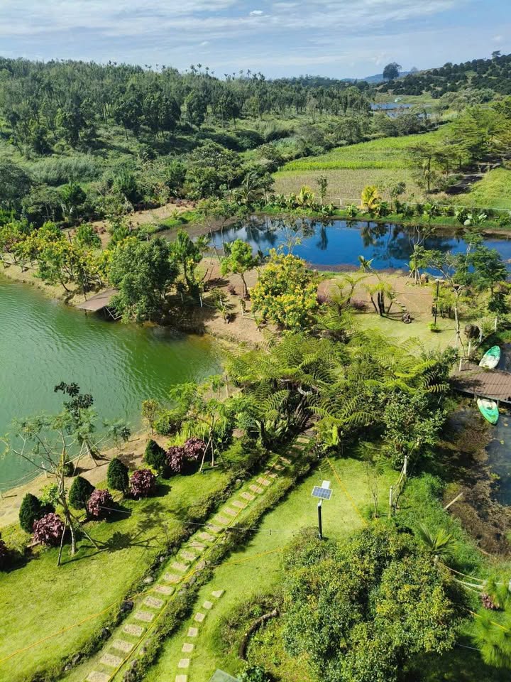 Lô đất 160m² Phường 2, Bảo Lộc chỉ 500 triệu - Cơ hội đầu tư hấp dẫn!