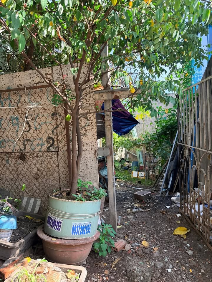 Đất nền phường Linh Xuân Thủ Đức 60m² giá 3,3 tỷ - Đầu tư sinh lời ngay!