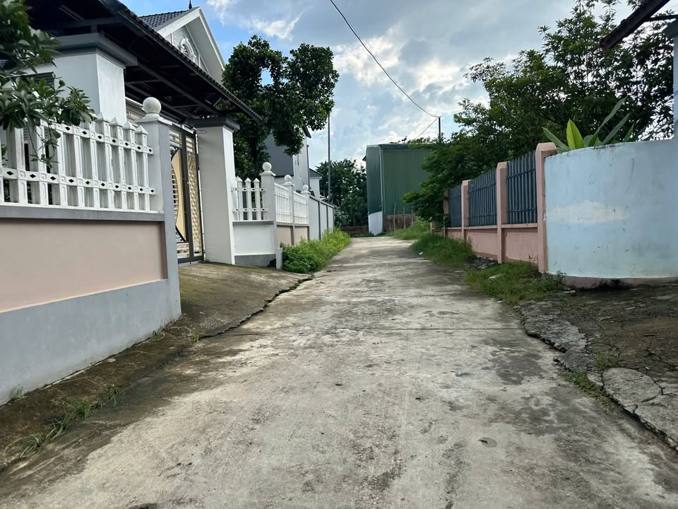 Đất nền Kim Long Tam Dương 260m² giá 1.56 tỷ - Cơ hội đầu tư sinh lời!