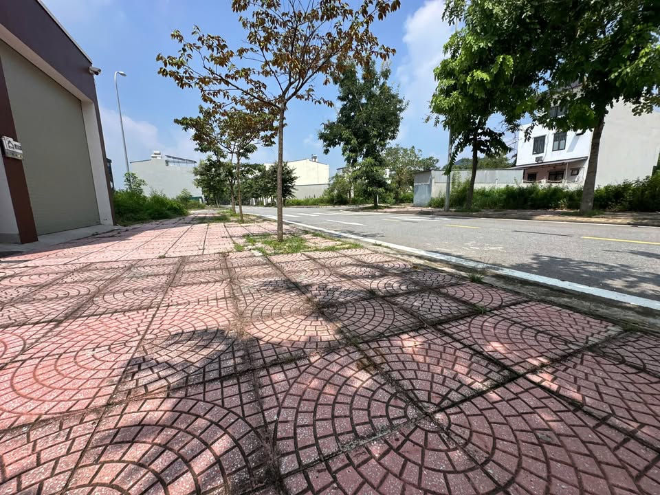 Đất Khu Đô Thị Nam Vĩnh Yên 100m² - Mặt tiền 5m, đường rộng 16.5m!