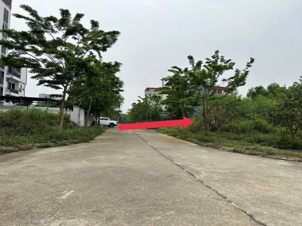 Đất thổ cư Đồng Xuân, Tam Dương, Vĩnh Phúc 99m² - Chính chủ bán gấp!