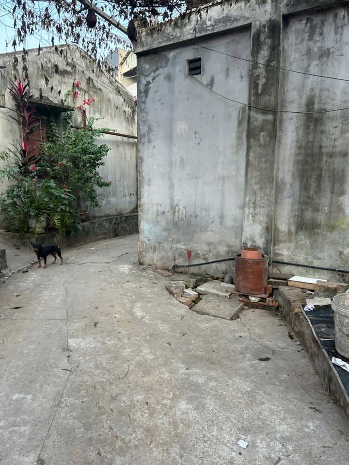 Đất đẹp Ngọc Hồi, Thanh Trì 56m² giá 4.4 tỷ - Khu dân cư an ninh cao