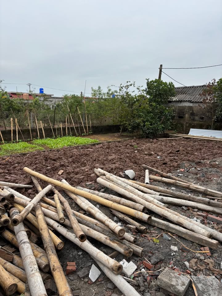 Đất nền Giao Châu 184m² giá thỏa thuận - Đầu tư sinh lời cao!