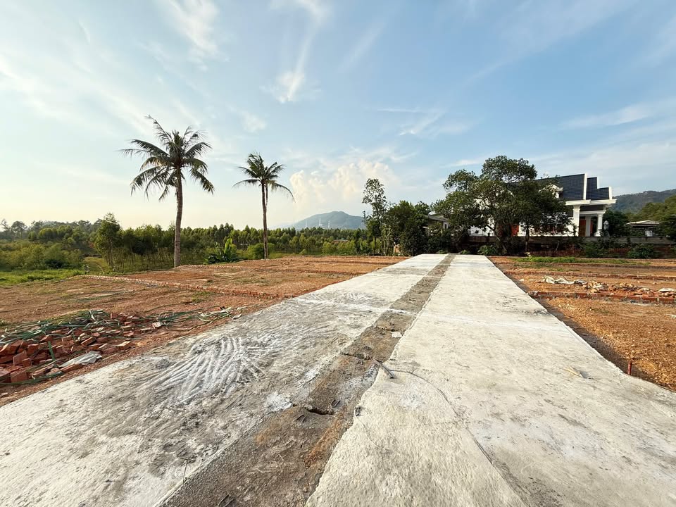 Đất thổ cư Minh Quang, Tam Đảo 100m² giá 600 triệu - Đầu tư sinh lời ngay!