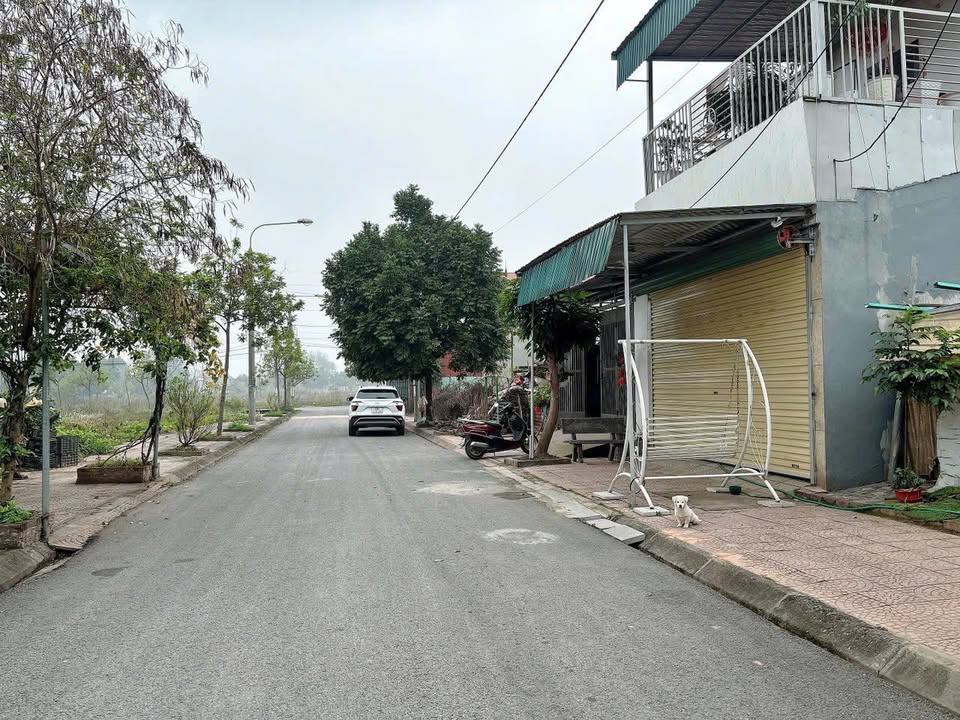 Đất dự án Tam Hợp, Bình Xuyên 100m² giá 1.8 tỷ - Sổ đỏ chính chủ, sẵn sàng sang tên!