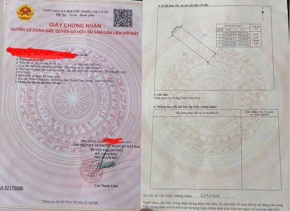 Đất nền Hướng Đạo, Tam Dương 100m² giá chỉ 1 tỷ - Cơ hội đầu tư tuyệt vời!