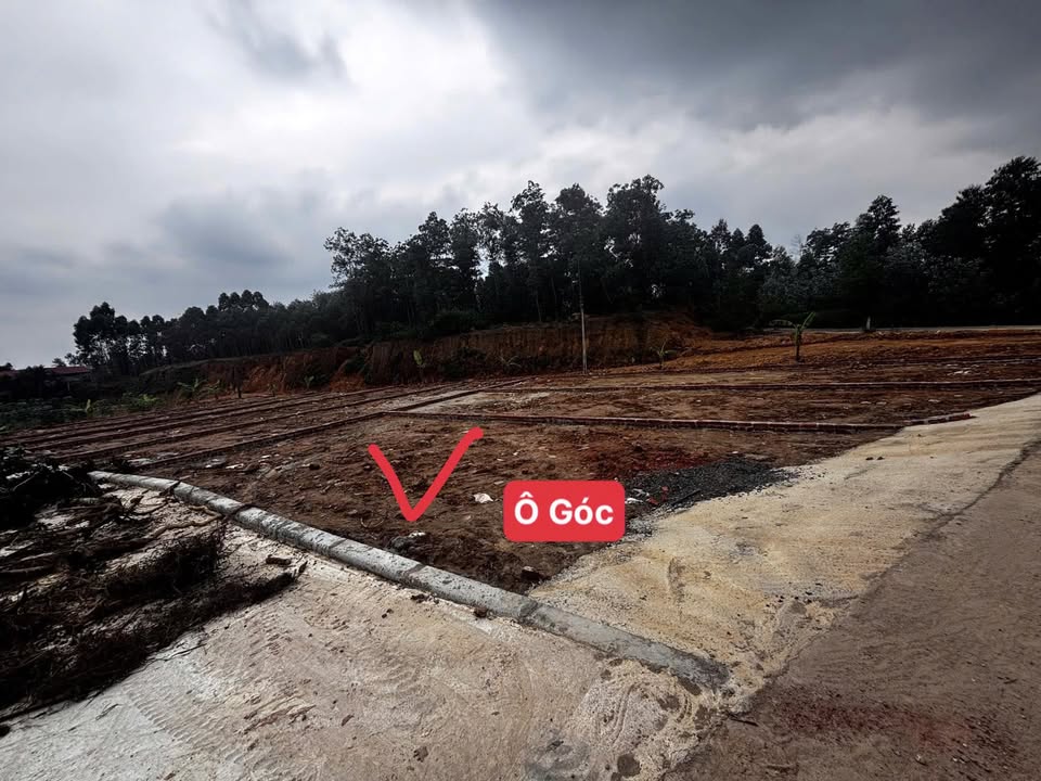 Đất nền Trung Mầu, Bình Xuyên 81m² giá 1 tỷ - Đầu tư sinh lời ngay!