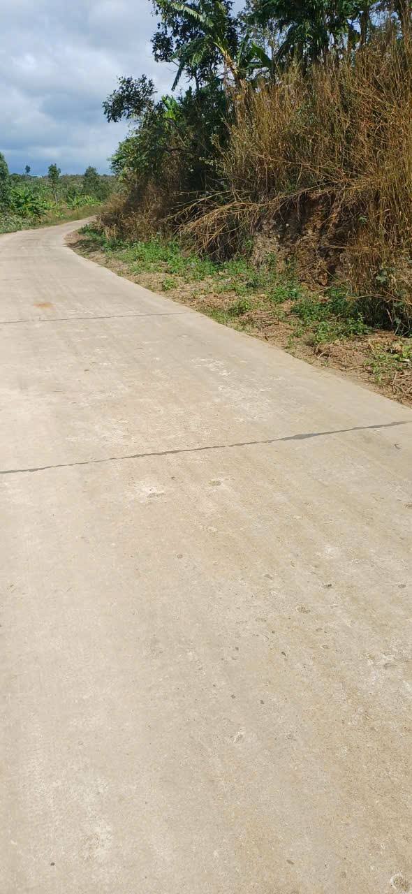 Đất nền chính chủ xã Đê Ar 1,83ha giá 500 triệu - Đầu tư sinh lời ngay!