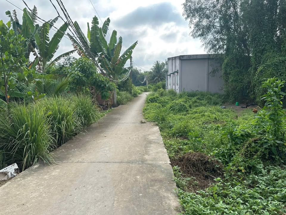 Đất nền 300m² Thạnh Đức, Bến Lức chỉ 1 tỷ - Đường xe hơi, giáp rạch!