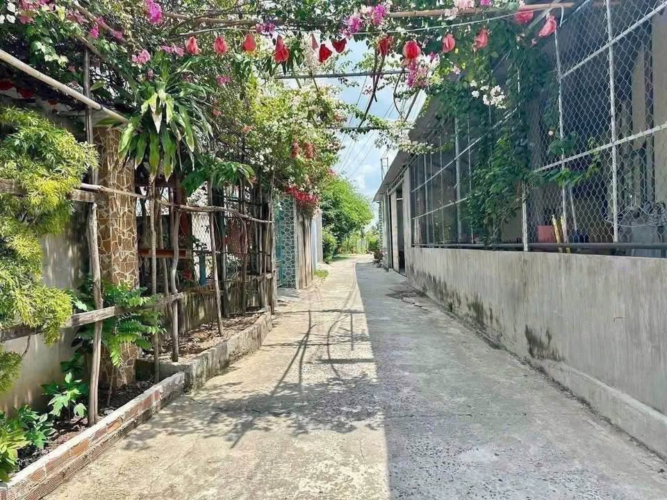 Đất thổ cư An Vĩnh Ngãi Tân An 150m² giá 890 triệu - Chính chủ bán gấp!