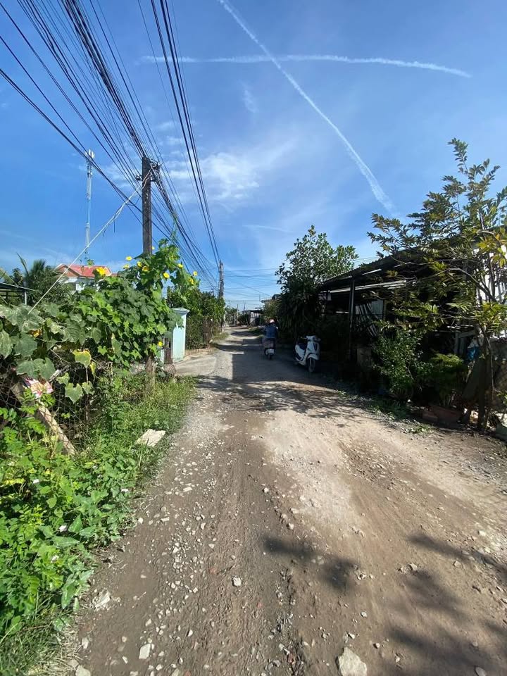 Đất thổ cư 116m² đường Cần Câu - Ấp Bình Tiền 1, giá chỉ 1.3 tỷ!