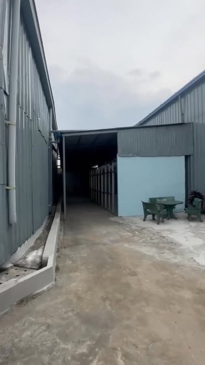 Cho thuê kho xưởng mới xây tại Cần Giuộc, Long An - Diện tích 2100m² giá 60.000đ/m²