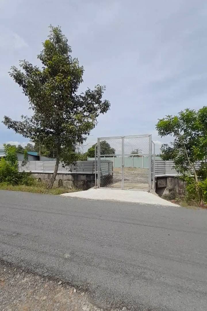 Nhà mặt tiền Phước Hậu, Cần Giuộc 85m² giá 1.59 tỷ - Sổ hồng riêng, thương lượng!