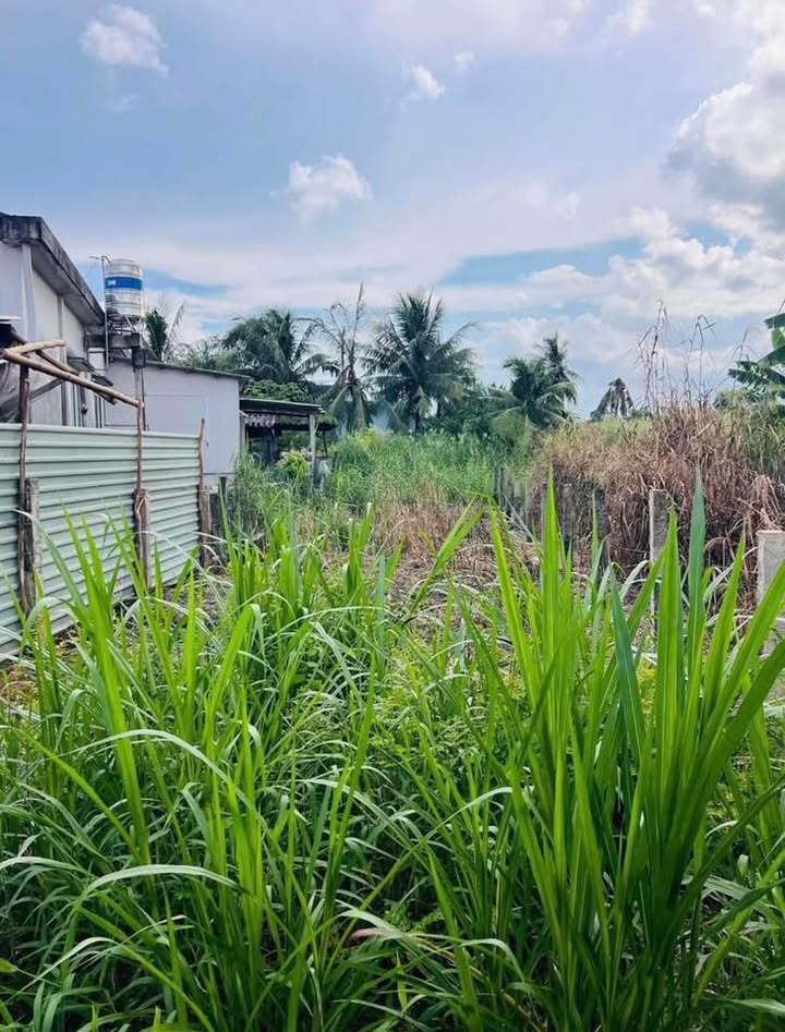 Đất thổ cư hẻm 105 Lương Văn Chấn, Tân An, 115m² giá 690 triệu - Sổ đỏ chính chủ!