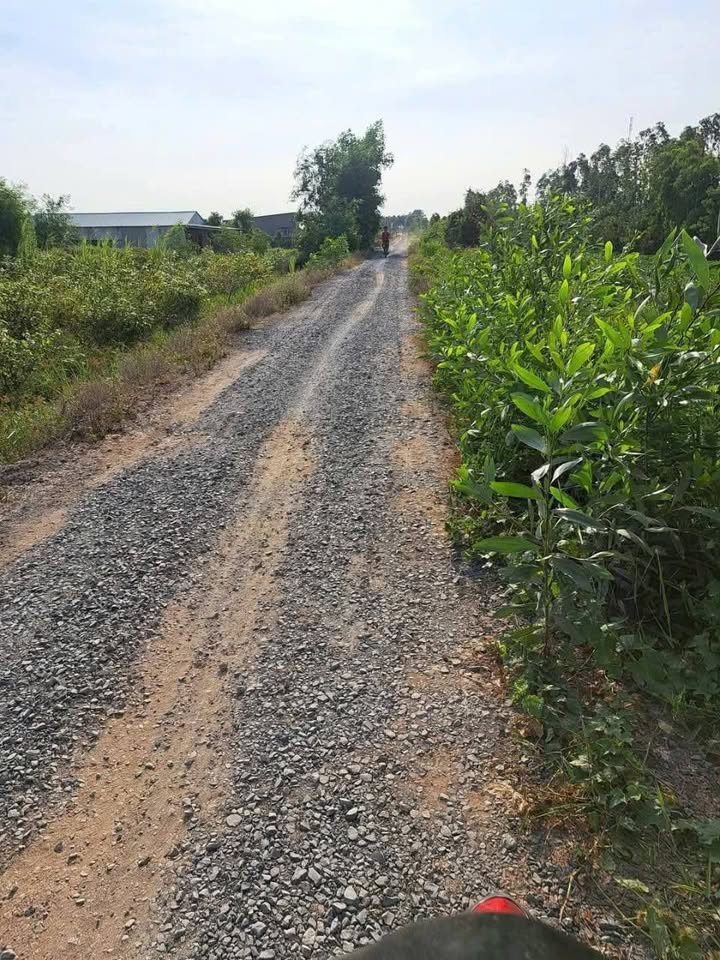 Đất vườn Thủy Đông Thạnh Hóa 1,5 công giá chỉ 480 triệu - Cơ hội đầu tư tuyệt vời!