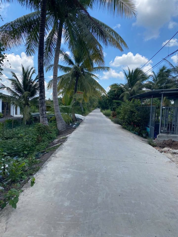 Kho và Đất 582m² tại ấp 8, xã Lương Hòa, giá 5 tỷ - Tiềm năng đầu tư lớn!