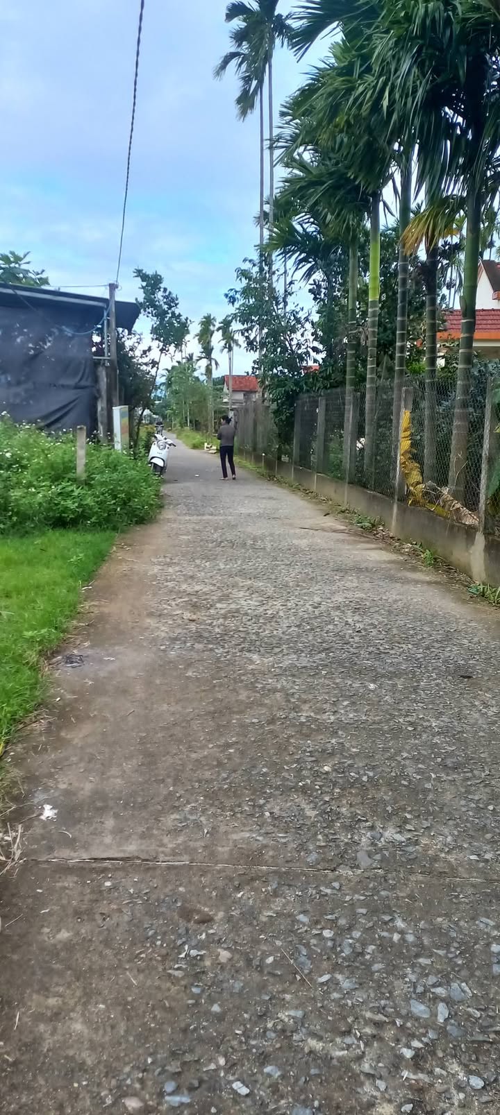 Đất ở xã Tư Nghĩa, Quảng Ngãi 186.3m² - Giá hấp dẫn, không ngập lụt!