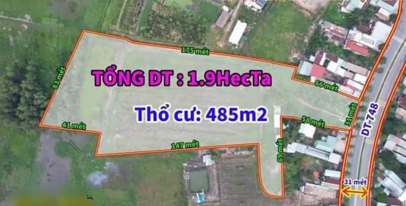 Đất nền 1.9ha tại vòng xoay An Điền, Bến Cát - Giá siêu rẻ, đầu tư sinh lời!