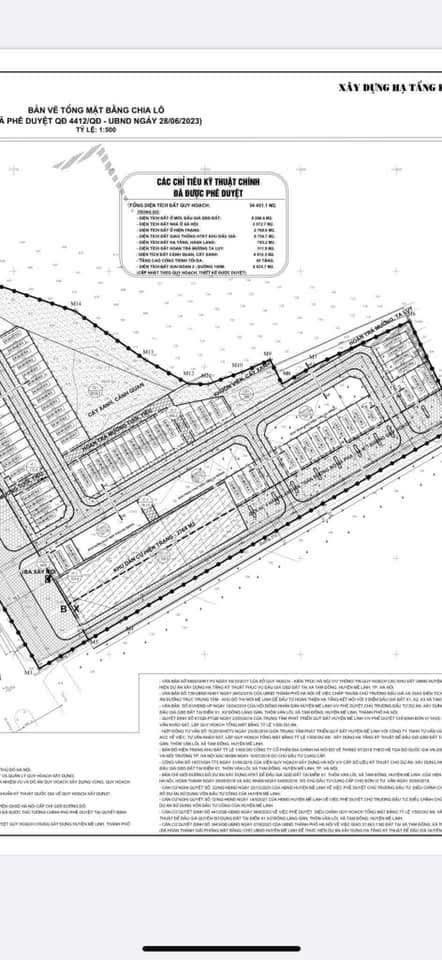Đất đấu giá Tam Đồng 100m² giá thỏa thuận - Vị trí đắc địa mặt đường đại lộ 100!