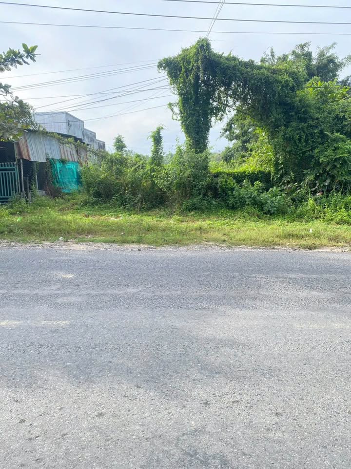 Đất CLN 1140m² Thôn 2 Hàm Đức giá 1.35 tỷ - Mặt tiền đường 715 thuận tiện!