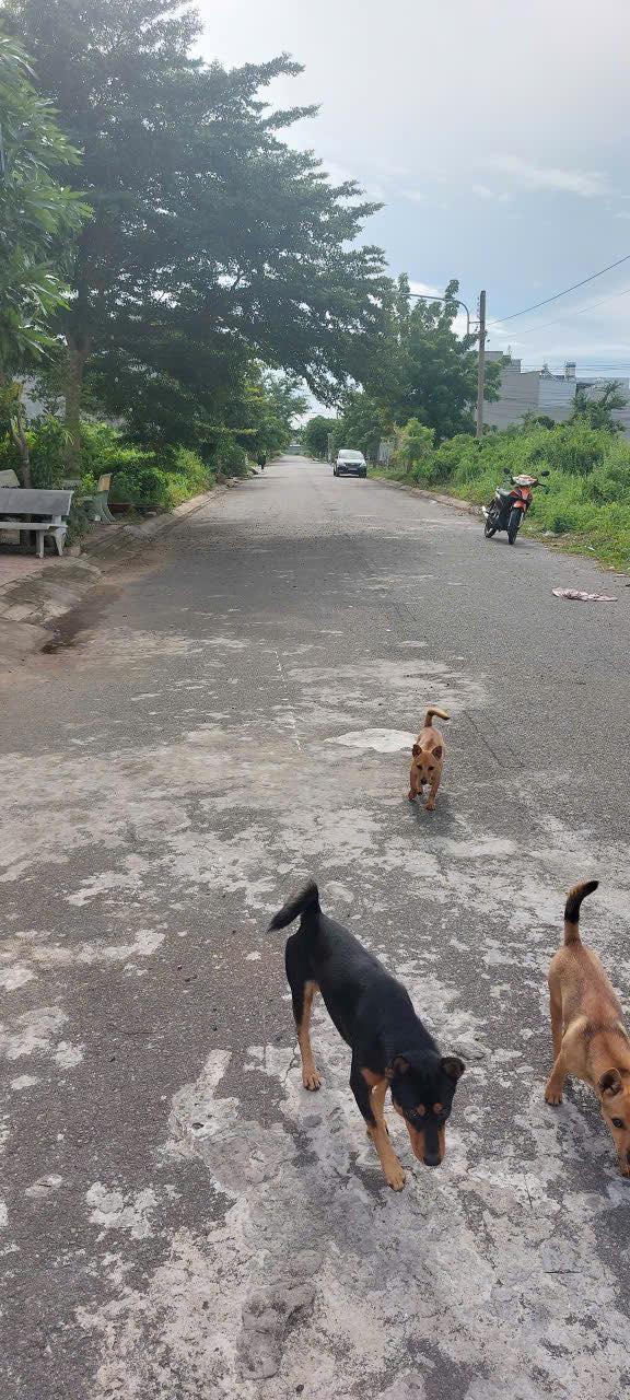 Nhà mặt tiền nhựa Hàm Liêm 95m² giá 1.65 tỷ - Vị trí đắc địa gần trung tâm!