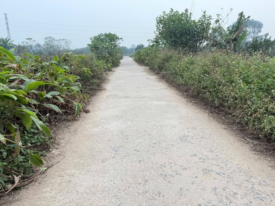 Đất vườn 415m² Sài Sơn, Quốc Oai - Sổ đỏ chính chủ, vị trí đẹp!