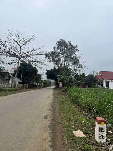 Đất nền Thạch Thành 147m² giá 700 triệu - Kinh doanh sầm uất!