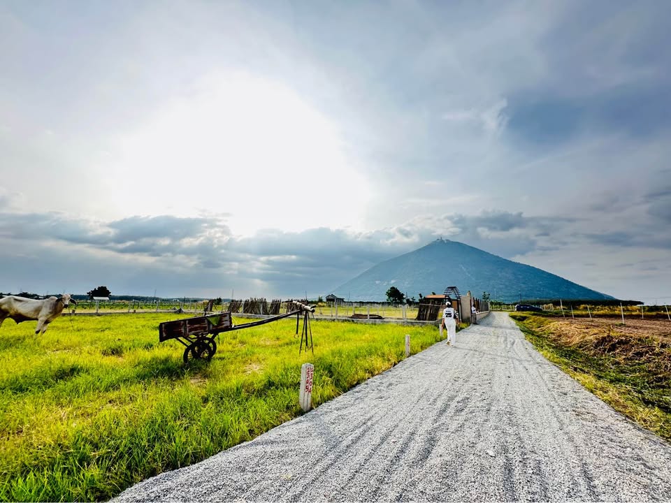 Bán đất xã Dương Minh Châu, Tây Ninh 160m² giá 337 triệu - Sổ hồng chính chủ, thổ cư 100%!