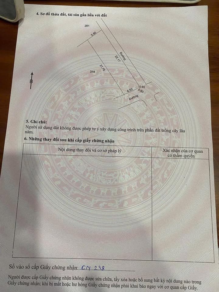 Đất nền lô góc 123m² đường Hoàng Trạch, Văn Giang - Đầu tư siêu lợi nhuận!