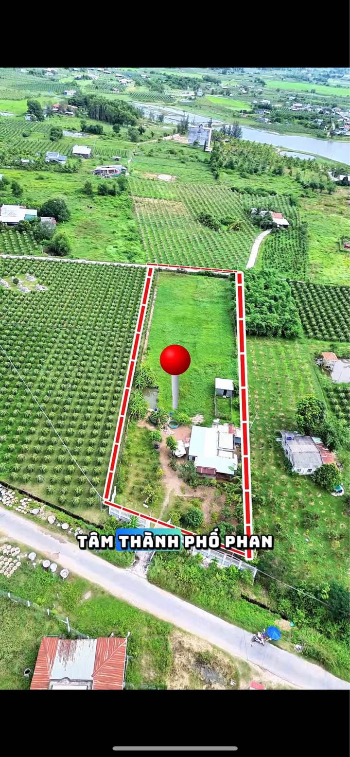 Đất nền Hàm Hiệp 3.800m² giá chỉ 800 triệu - Cơ hội đầu tư tuyệt vời!