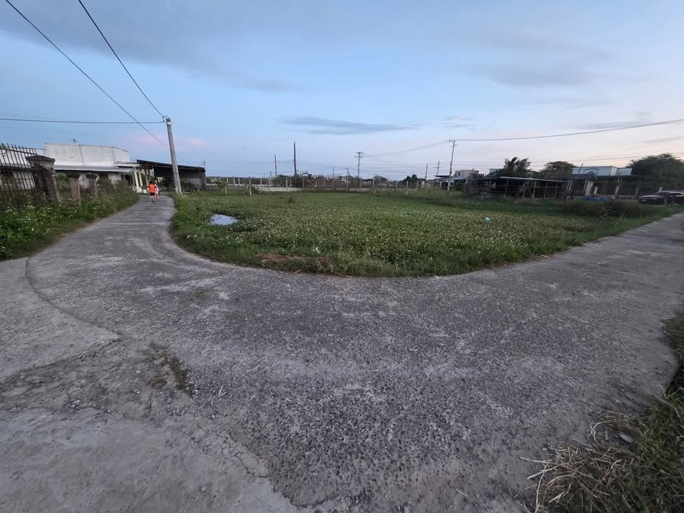 Đất thổ cư tại Khu biệt thự An Phú, Hàm Chính 1300m² chỉ 950 triệu - Cơ hội đầu tư tốt!