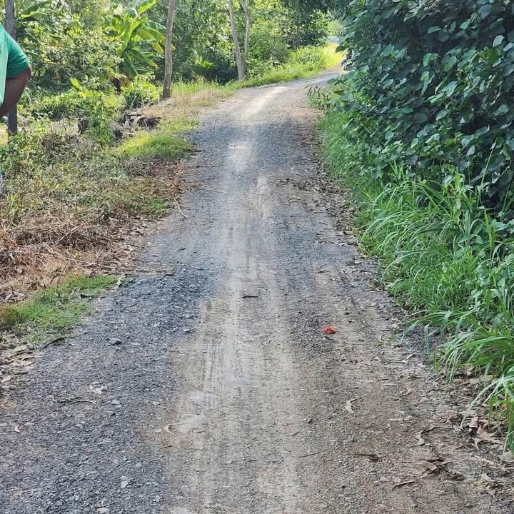 Đất vườn 1000m² xã Bình Đức, Bến Lức - Giá chỉ 800 triệu, pháp lý thổ cư!