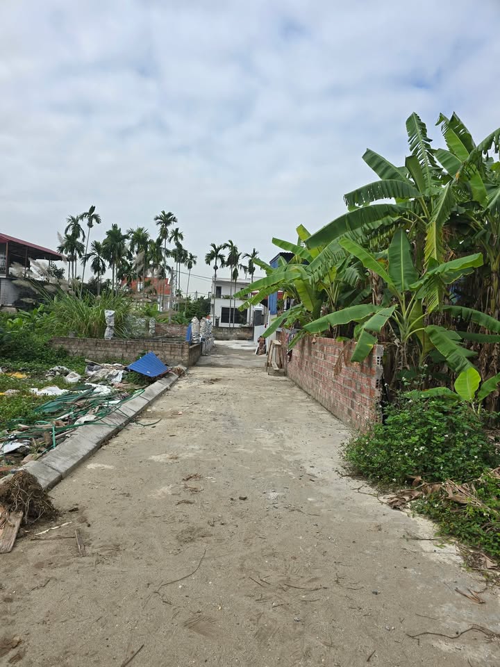 Đất nền Lâm Động, Thủy Nguyên 63m² giá 1.2 tỷ - Vị trí đắc địa, giao thông thuận lợi!