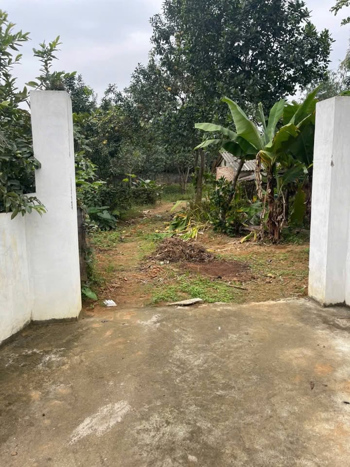 Đất nền khu 8 Vân Phú Việt Trì 566m² giá 3 tỷ - Đầu tư sinh lời ngay!