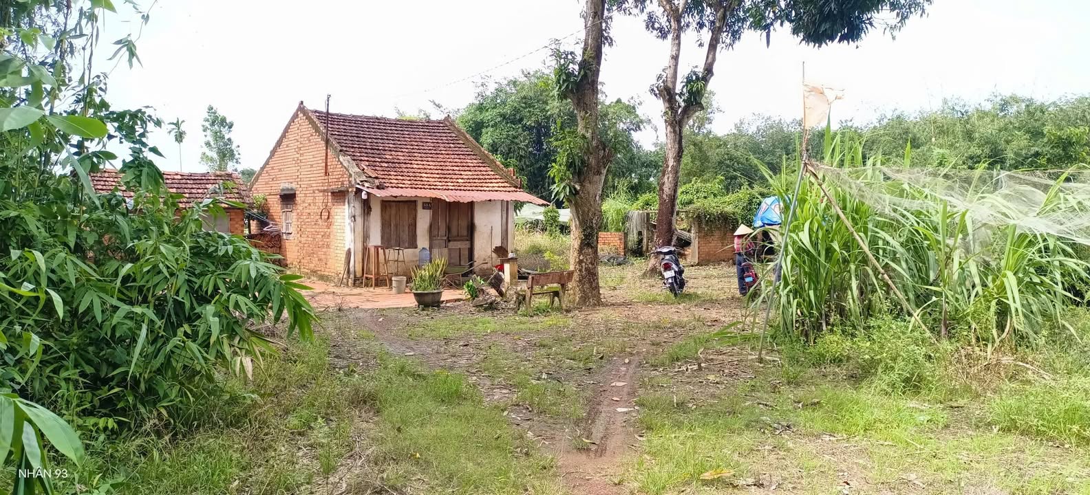 Đất nền Tân Thiện, Đồng Xoài 965m² giá 1.9 tỷ - Tiềm năng đầu tư lớn!