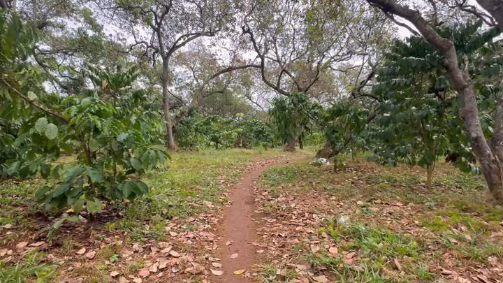 Đất nền Bù Đăng 21260m² giá 3 tỷ - Phù hợp đầu tư lâu dài!