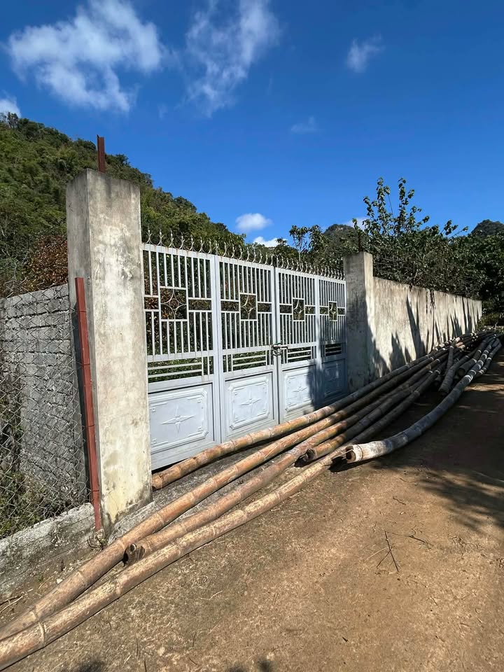 Đất thổ cư 300m² tại Chiềng Ngần, Sơn La - Giá chỉ 700 triệu, sổ đỏ chính chủ!