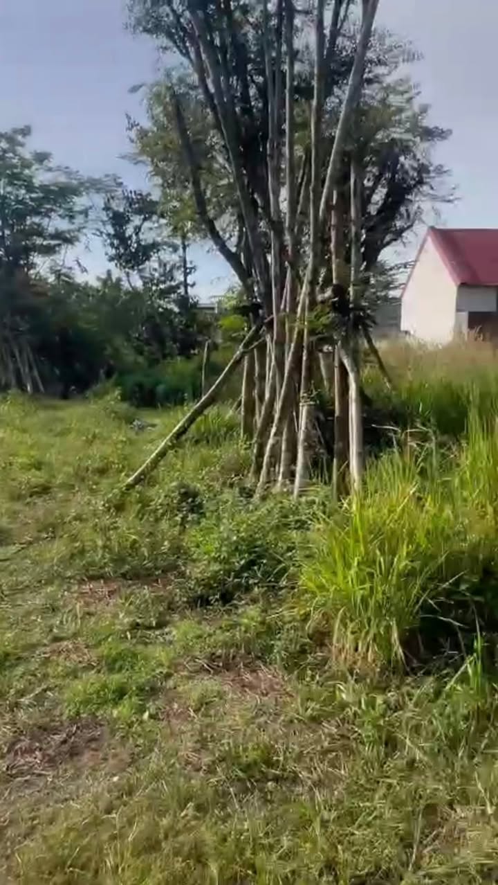 Đất nền Trảng Bom 502m² giá 2.2 tỷ - Sổ đỏ chính chủ, đầu tư tiềm năng!