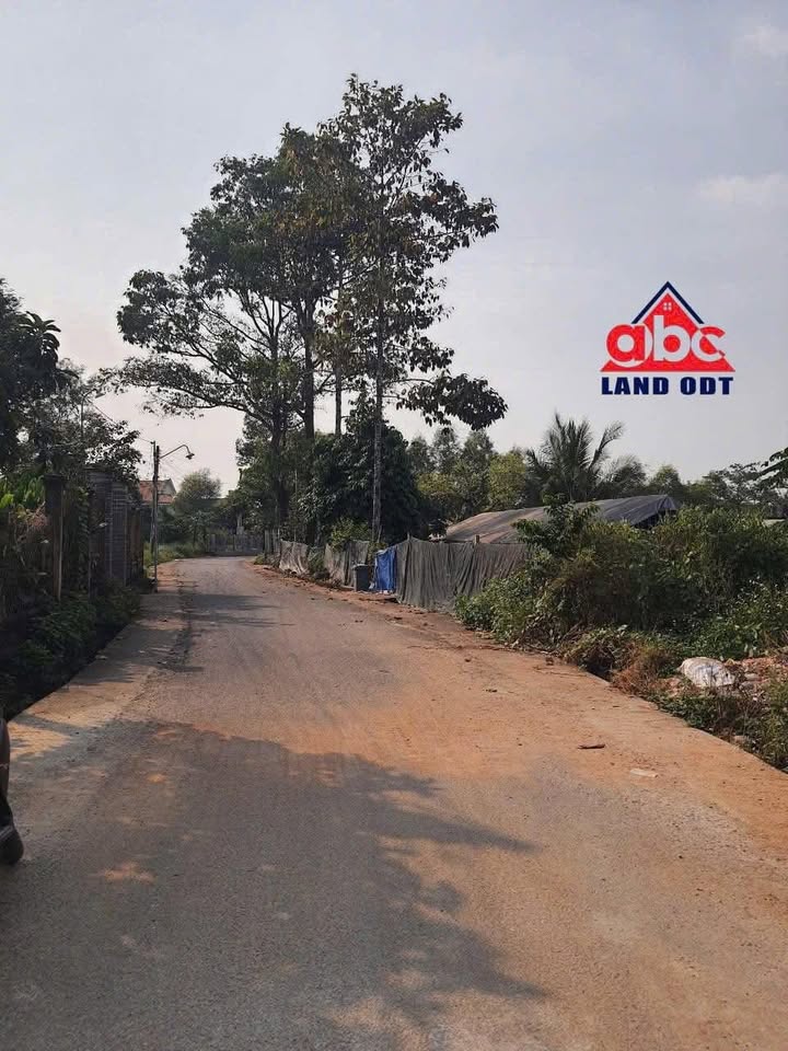 Bán nhà mặt tiền ấp Hòa Bình, Giang Điền 158m² giá chỉ 2.1 tỷ - Sẵn sàng ở ngay!