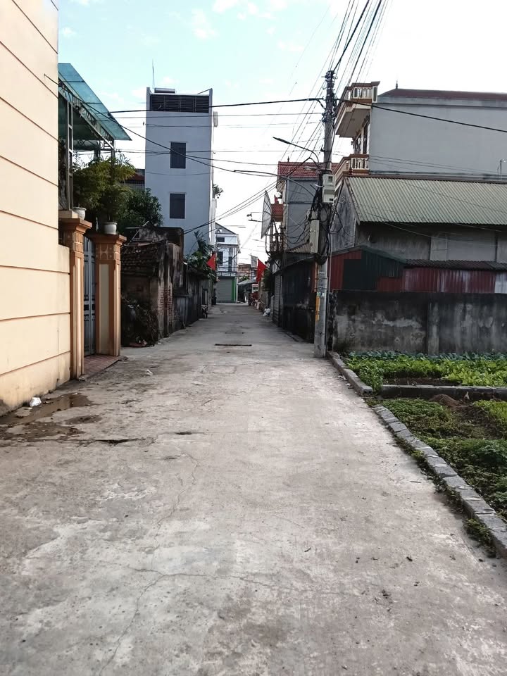 Đất nền Tự Nhiên, Thường Tín 40,8m² giá chỉ 2.28 tỷ - Sổ đỏ chính chủ!