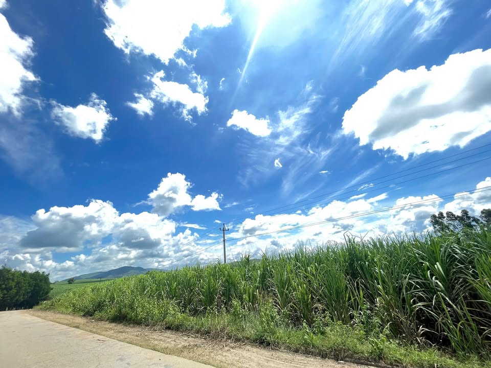 Đất nông nghiệp xã Yang Bắc 4200m² - Đầu tư khu du lịch sinh thái tiềm năng!