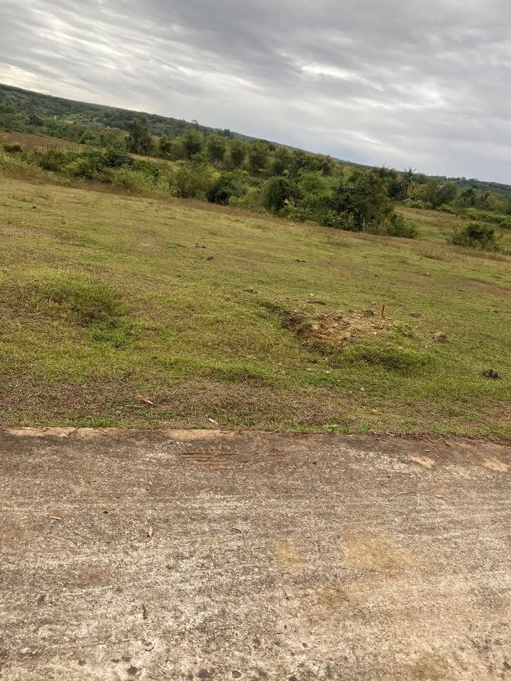 Đất nền Lộc Hưng, Chơn Thành 3600m² giá 195 triệu - Sổ sách đầy đủ!