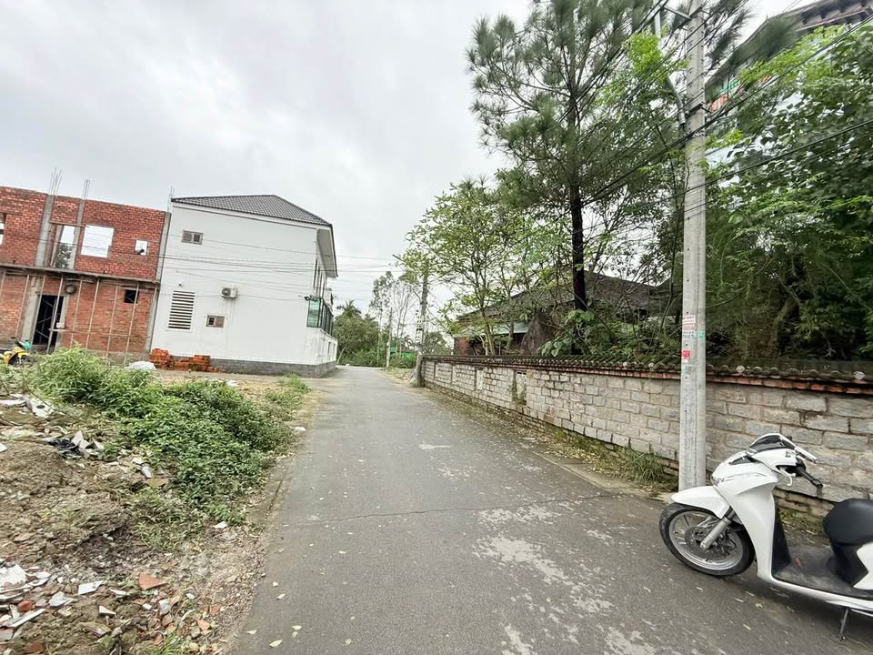 Đất 2 mặt kiệt ô tô Khúc Thừa Dụ 156m² giá 3,05 tỷ - Nằm gần cầu vượt tiện lợi!