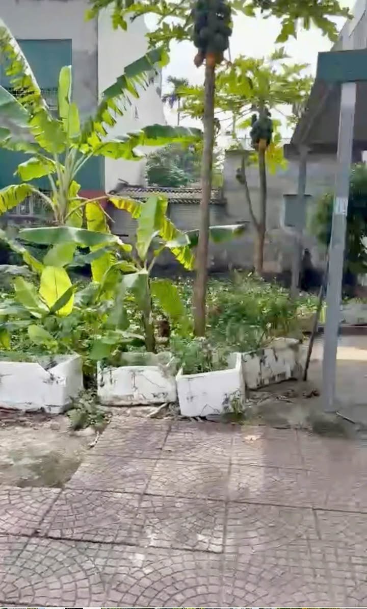 Đất chính chủ Ninh Mỹ 90m² giá 4.3 tỷ - Đường thông thoáng, gần chợ và trường học!