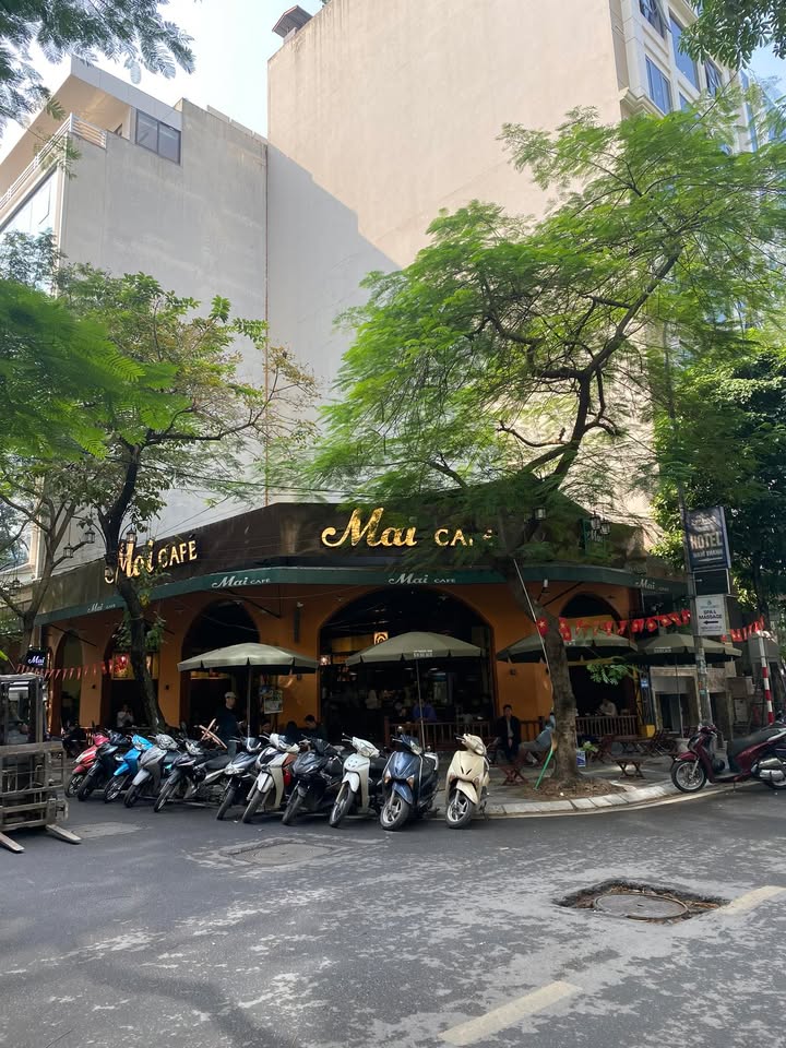 Mặt bằng cho thuê tại Đống Đa 350m² giá 80 triệu - Vị trí đắc địa khu phố ăn uống!