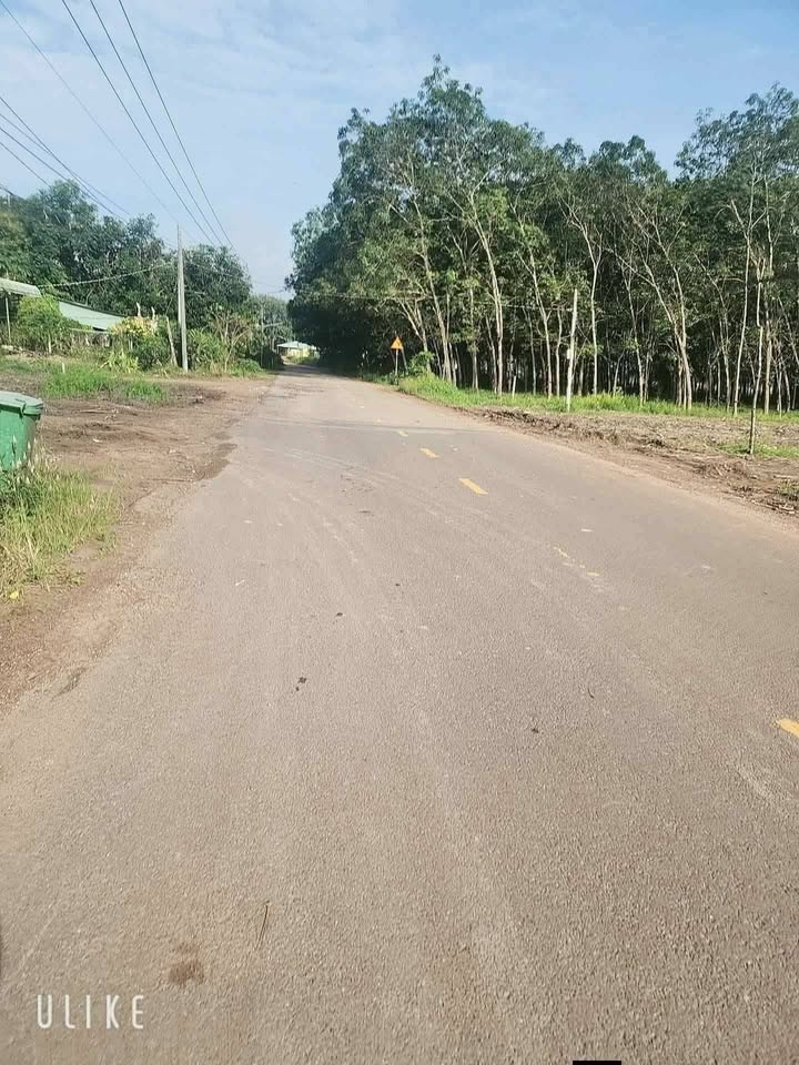 Đất nền Tam Lập, Phú Giáo 580m² giá 2.15 tỷ - Cơ hội đầu tư sinh lời!